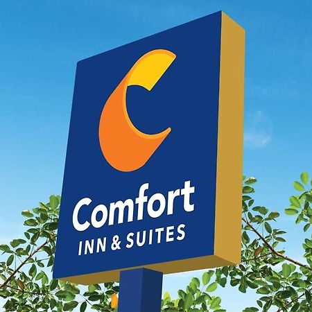 Comfort Inn & Suites Newark Liberty International Airport Exterior photo